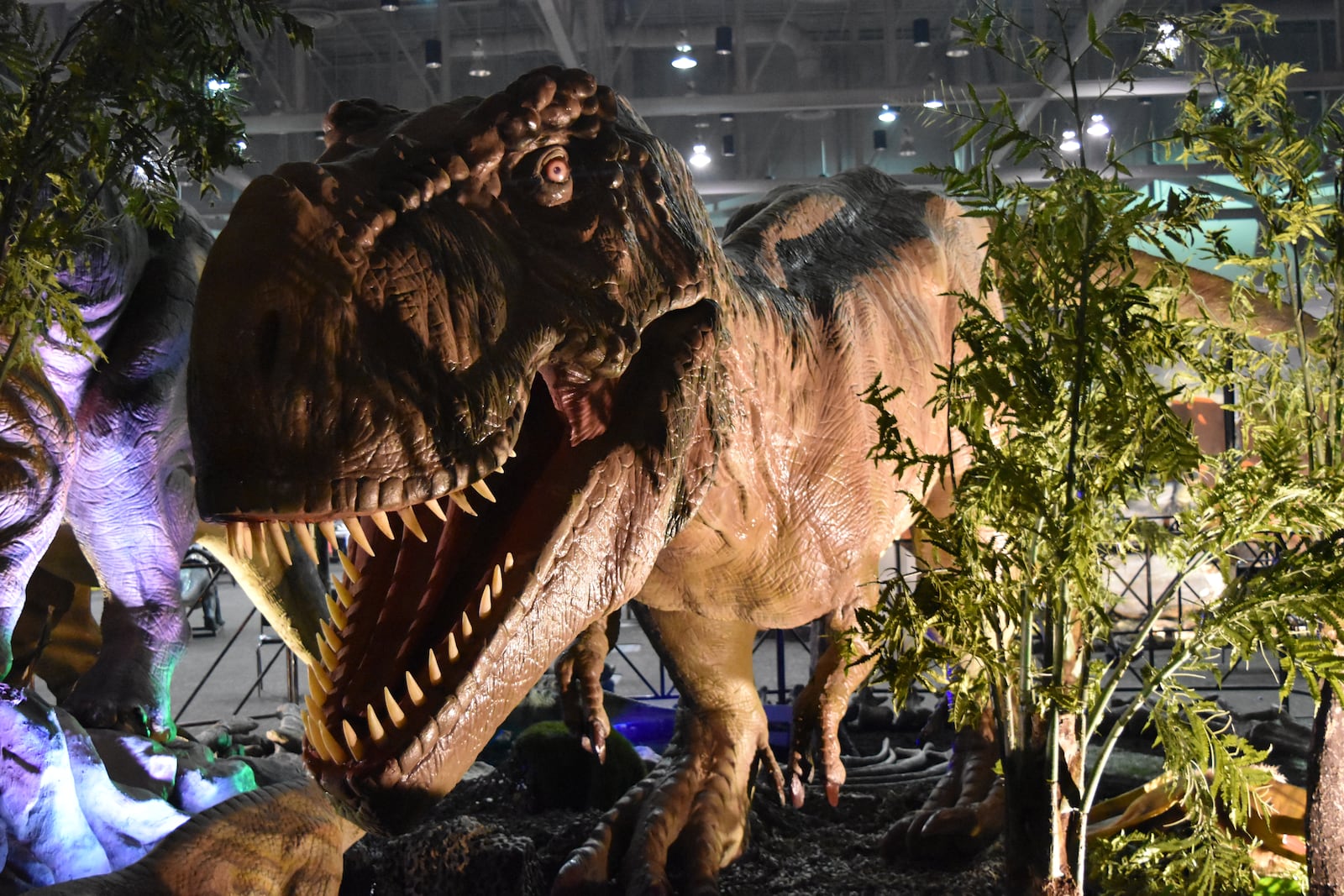 A Tyrannosaurus Rex at Dino Quest (CONTRIBUTED BY JURASSIC QUEST)