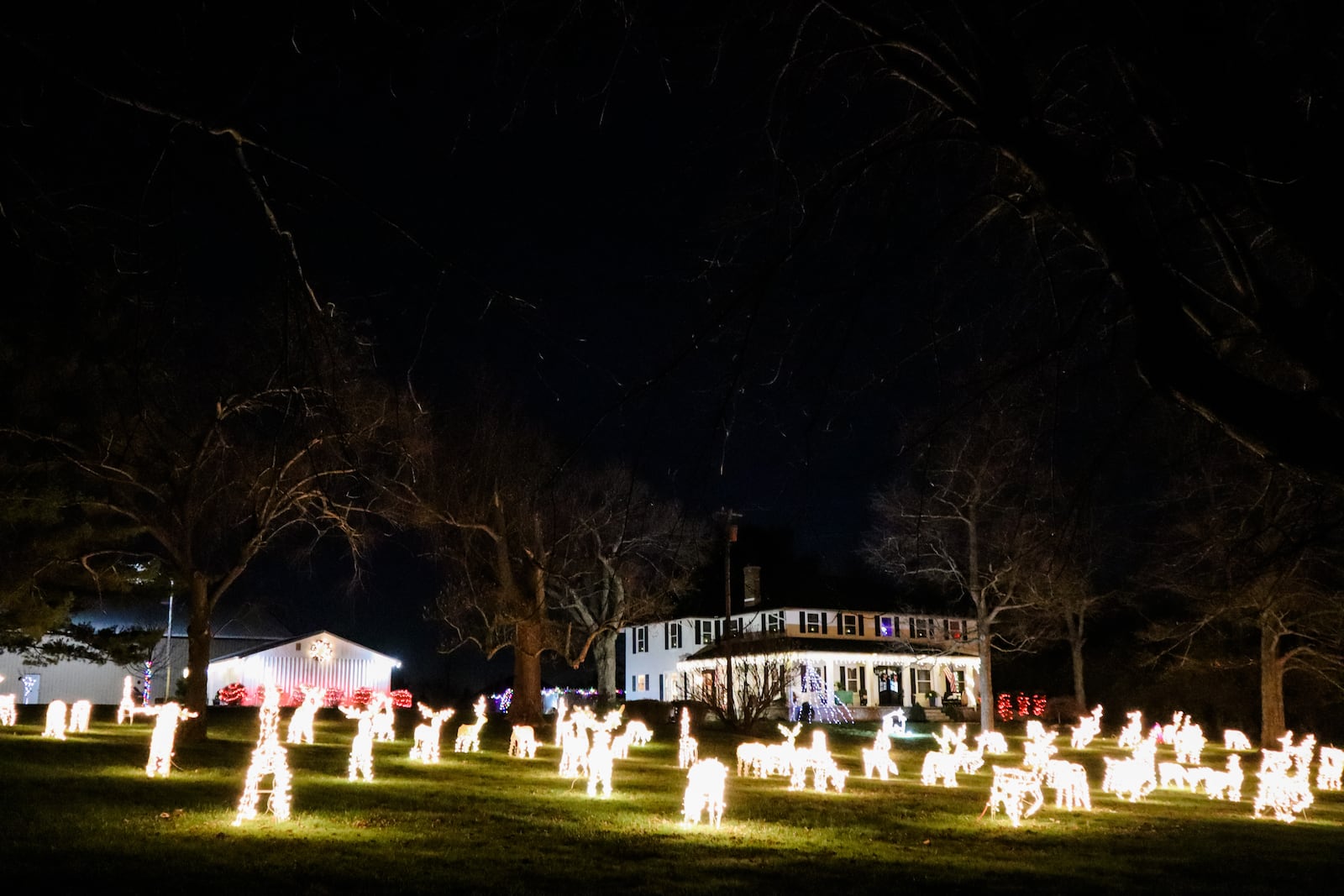 More than 80 reindeer appear on the lawn at this Warren County home. CONTRIBUTED