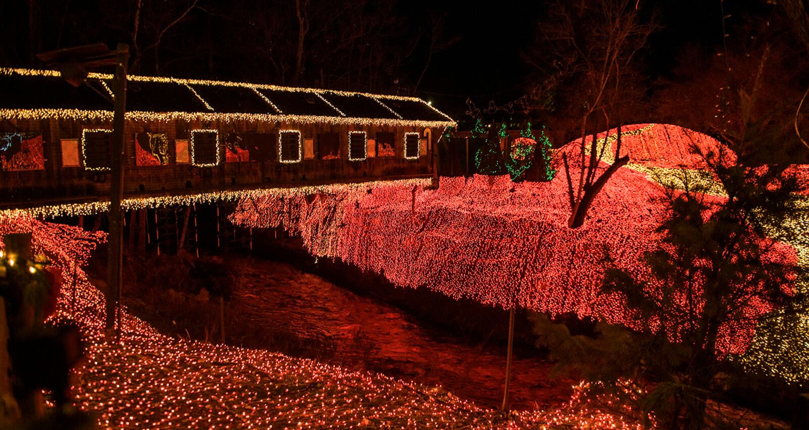 In 2018, Clifton Mill won the top prize of $50,000 on ABC’s “The Great Christmas Light Fight." CONTRIBUTED