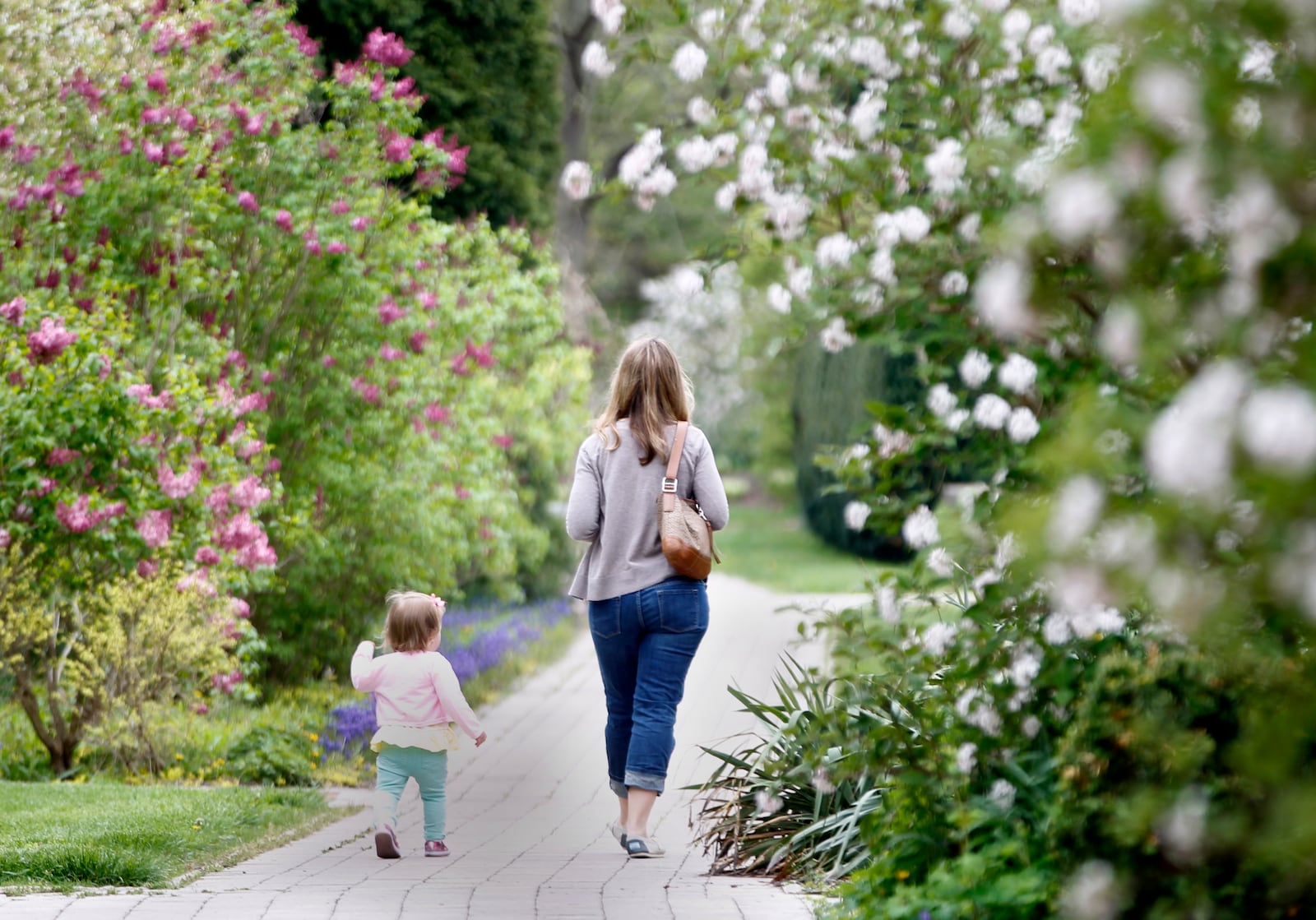 Blooming plants and trees at Wegerzyn Gardens MetroPark in Dayton create a frame of color around Sarah Hibner of Dayton and her one-year-old daughter Isabelle as they take a walk through the park. LISA POWELL / STAFF