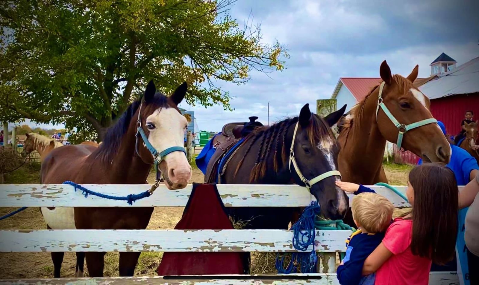 Children petting horses at a Horse-N-Round event.