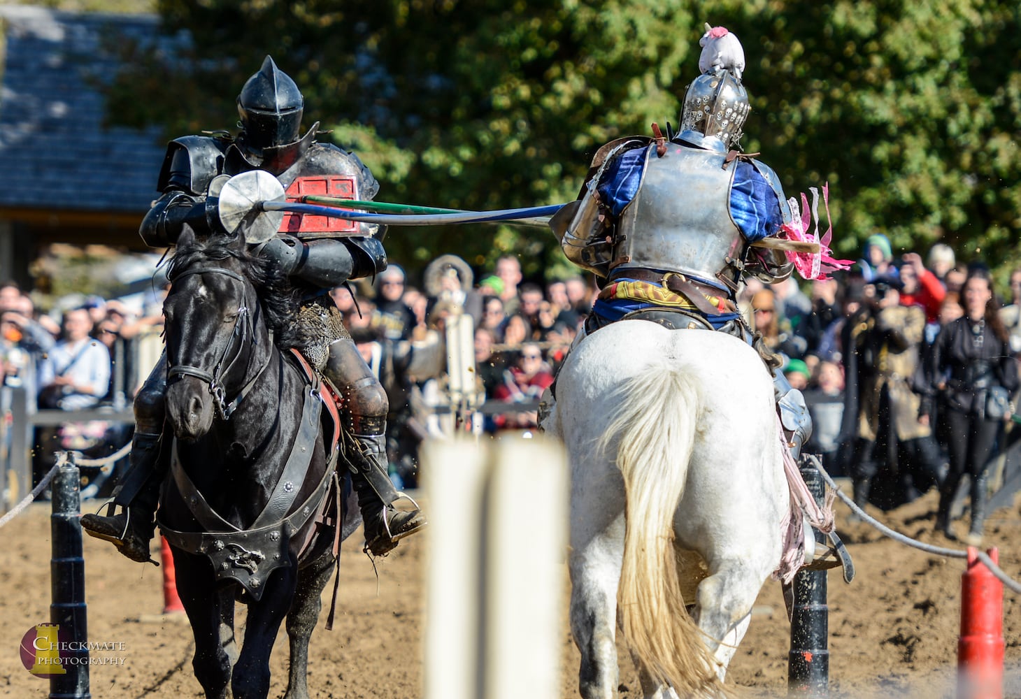 5 Things to Know: Ohio Renaissance Festival