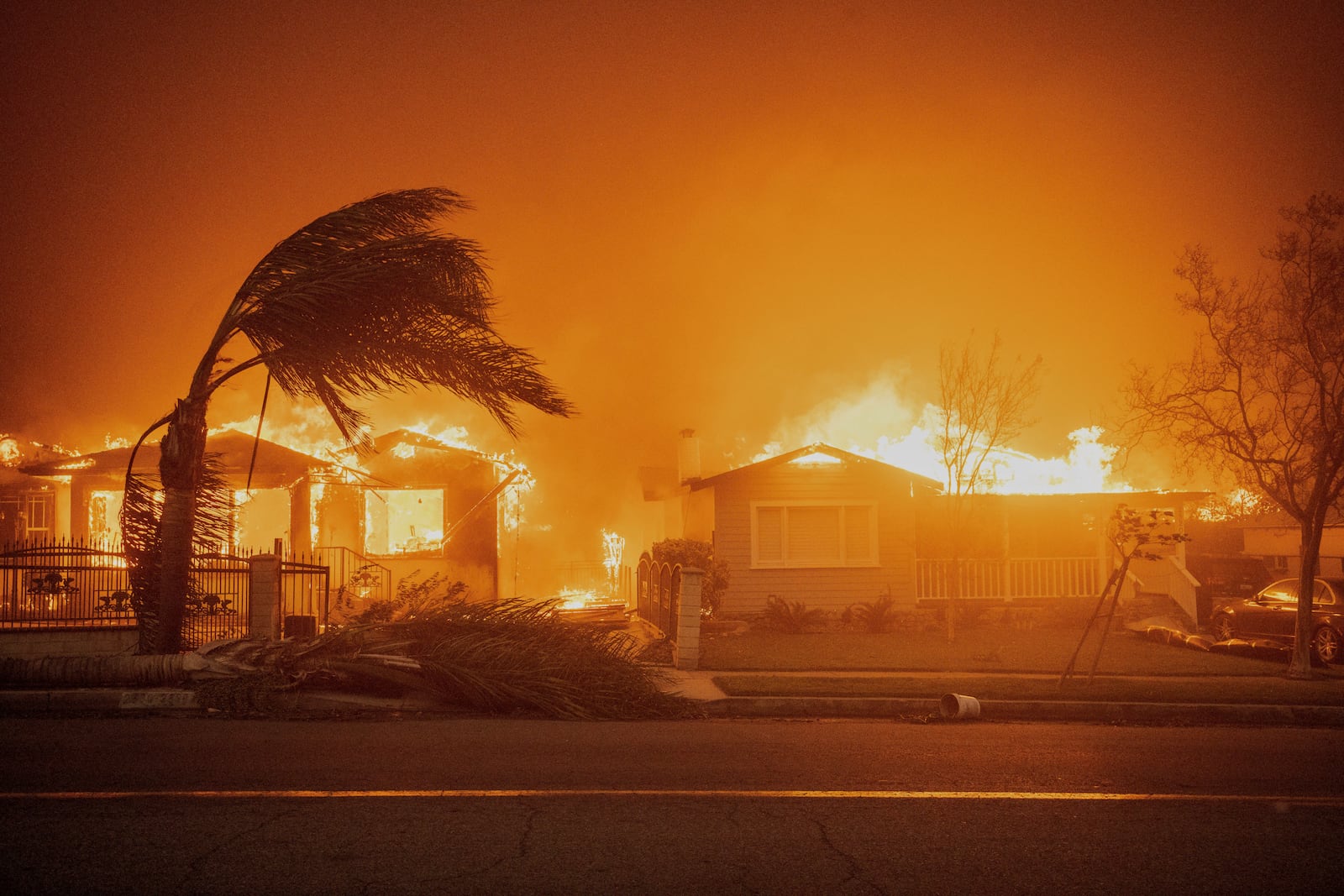 FILE - Trees sway in high winds as the Eaton Fire burns structures Jan. 8, 2025, in Altadena, Calif. (AP Photo/Ethan Swope, File)