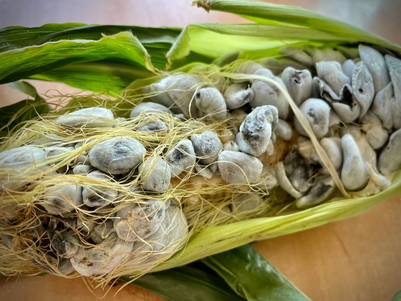 Meadowlark Restaurant in Washington Twp. is featuring a huitlacoche tostada as an appetizer this weekend. Huitlacoche (pronounced weet-luh-kow-chay), also known as corn smut or the Mexican truffle, is a fungus that can be found on corn. NATALIE JONES/STAFF