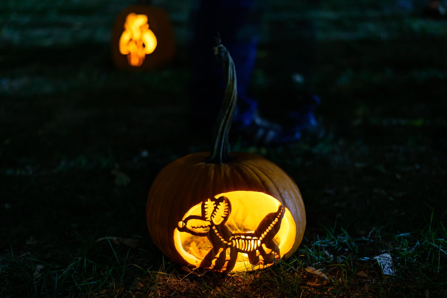 PHOTOS: The 30th annual Stoddard Avenue Pumpkin Glow