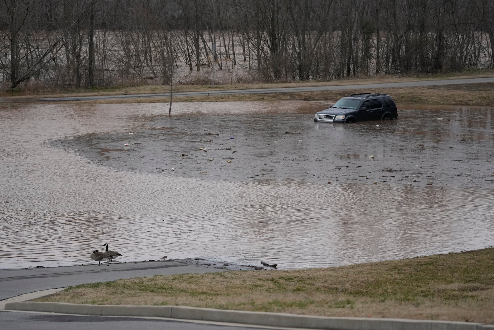 A vehicle sits in flood water along the Red River, Sunday, Feb. 16, 2025, in Clarksville, Tenn. (AP Photo/George Walker IV)