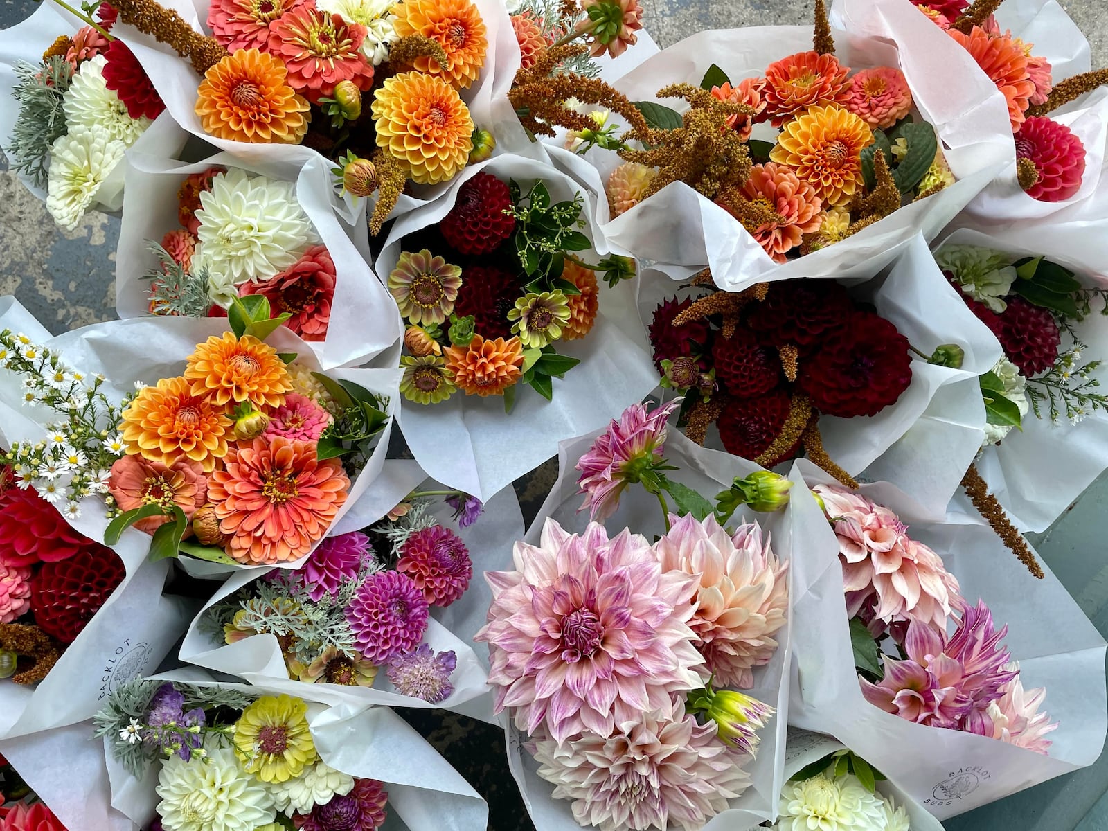 This is a sampling of mixed-flower bouquets available through Backlot Bud's CSA program. “The spring one’s going to be really amazing. I’ve got over 1,200 bulbs and tubers. It will be so colorful and stunning. In the summer, I’m going to focus on a good mixture of color," says grower Brittany Antoon.