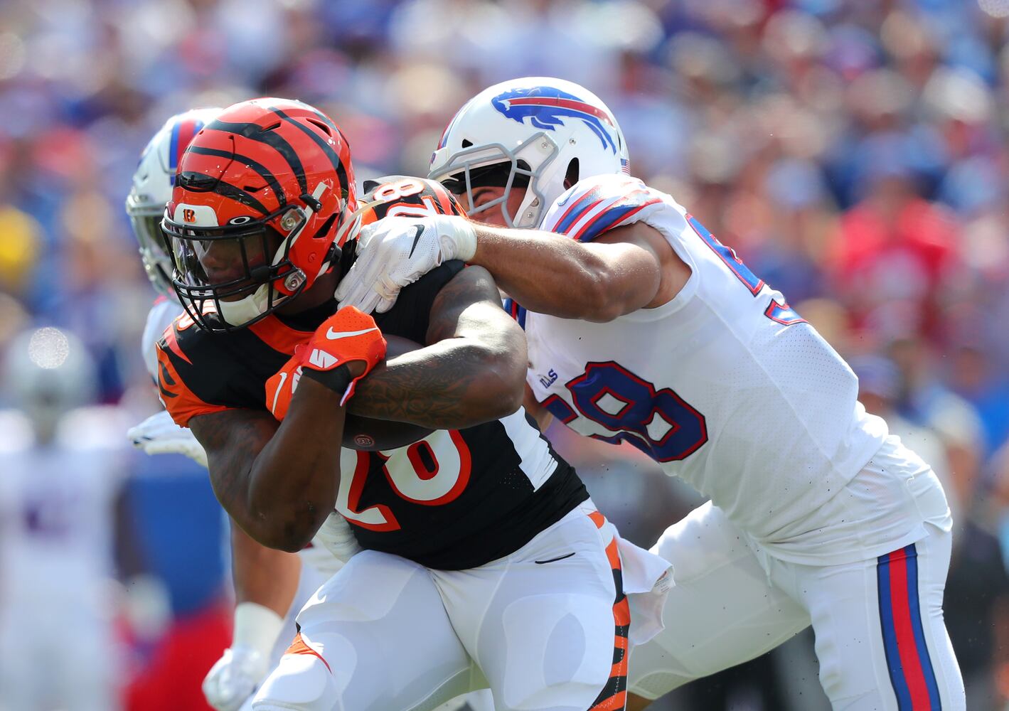 PHOTOS: Cincinnati Bengals vs. Buffalo Bills