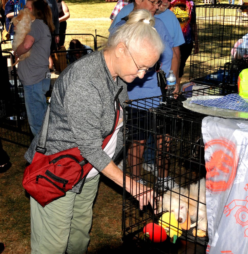 Did we spot you at the Germantown Pretzel Festival?