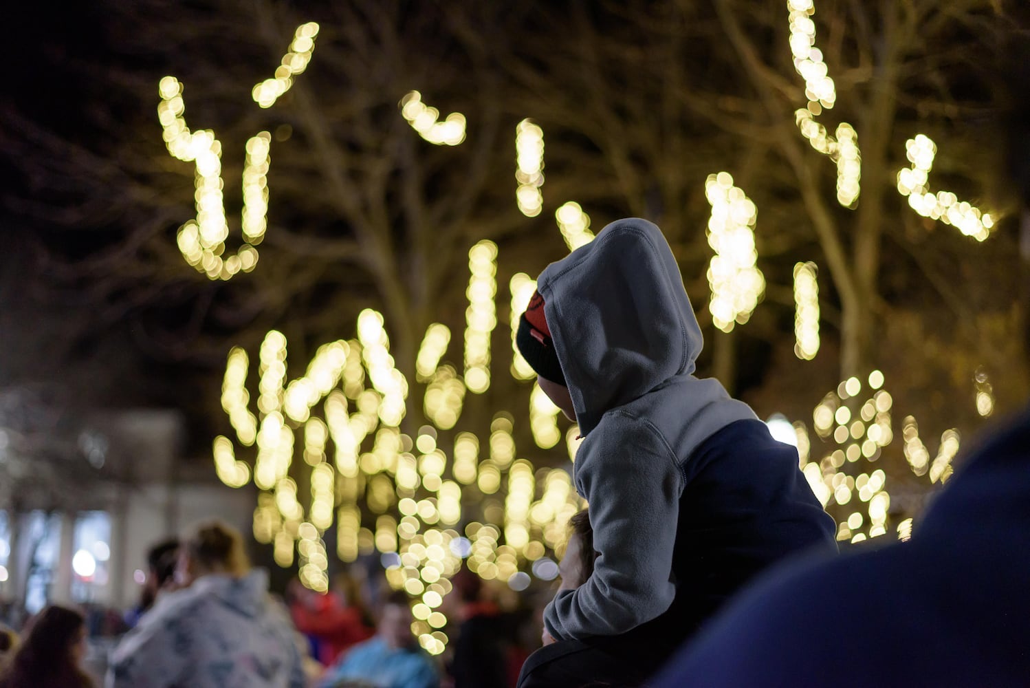 PHOTOS: 2024 Downtown Piqua Holiday Horse Parade