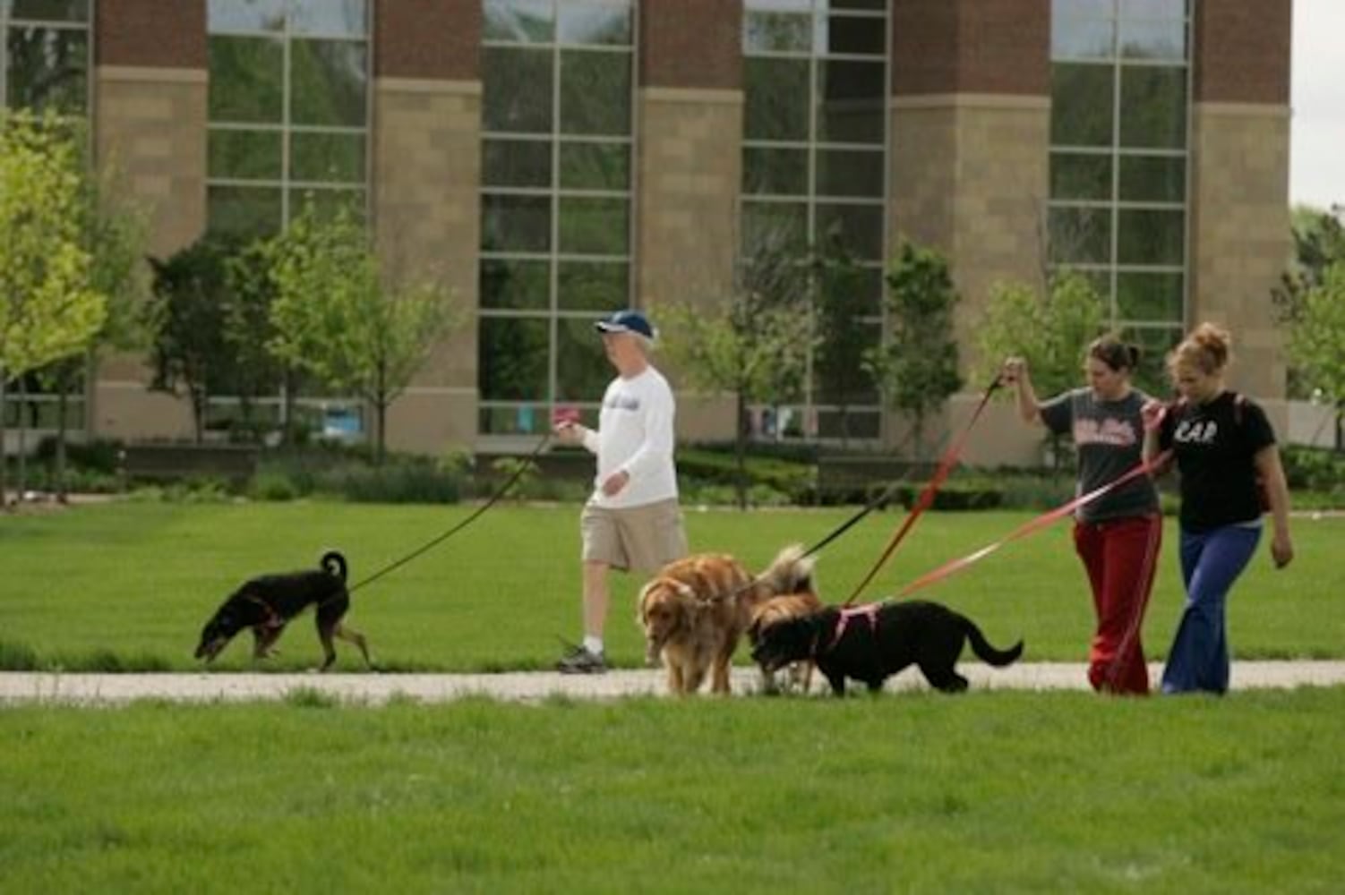 Furry Scurry walk