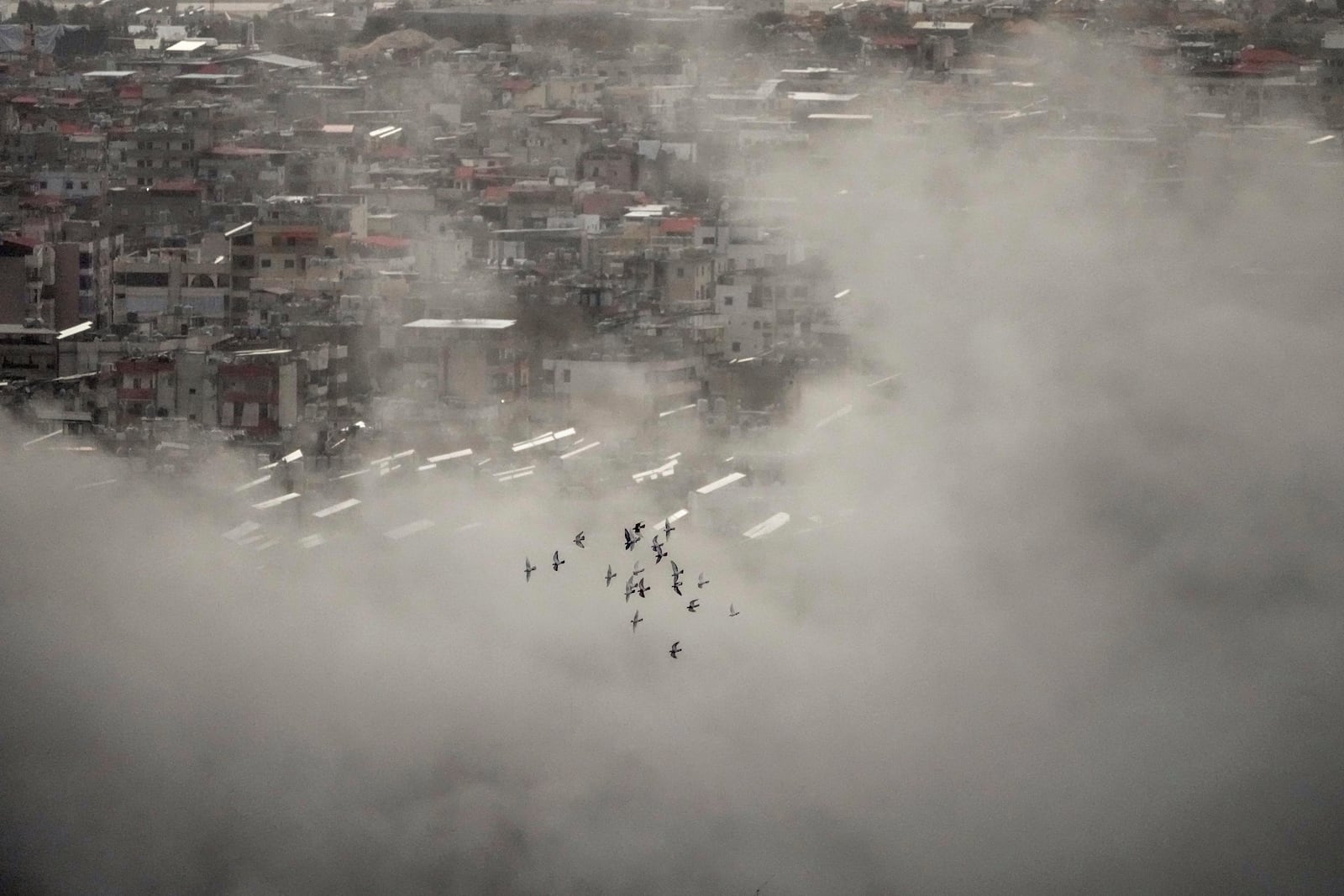 A flock of birds fly as smoke rise from Israeli airstrikes in Dahiyeh, Beirut, Sunday, Nov. 24, 2024. (AP Photo/Hassan Ammar)