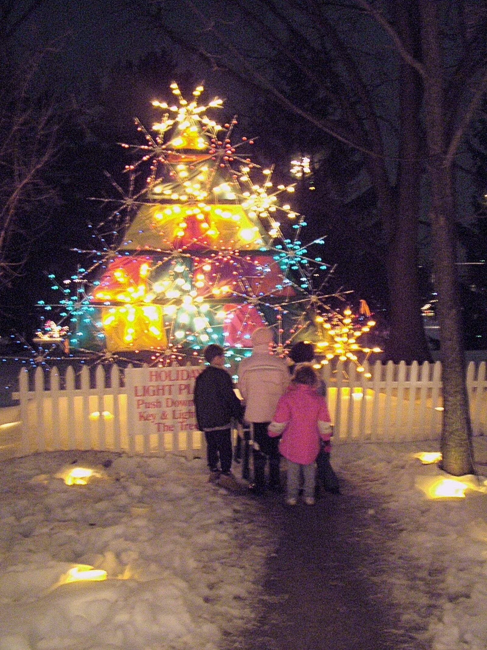 Woodland Lights comes to Countryside Park during the holiday season.