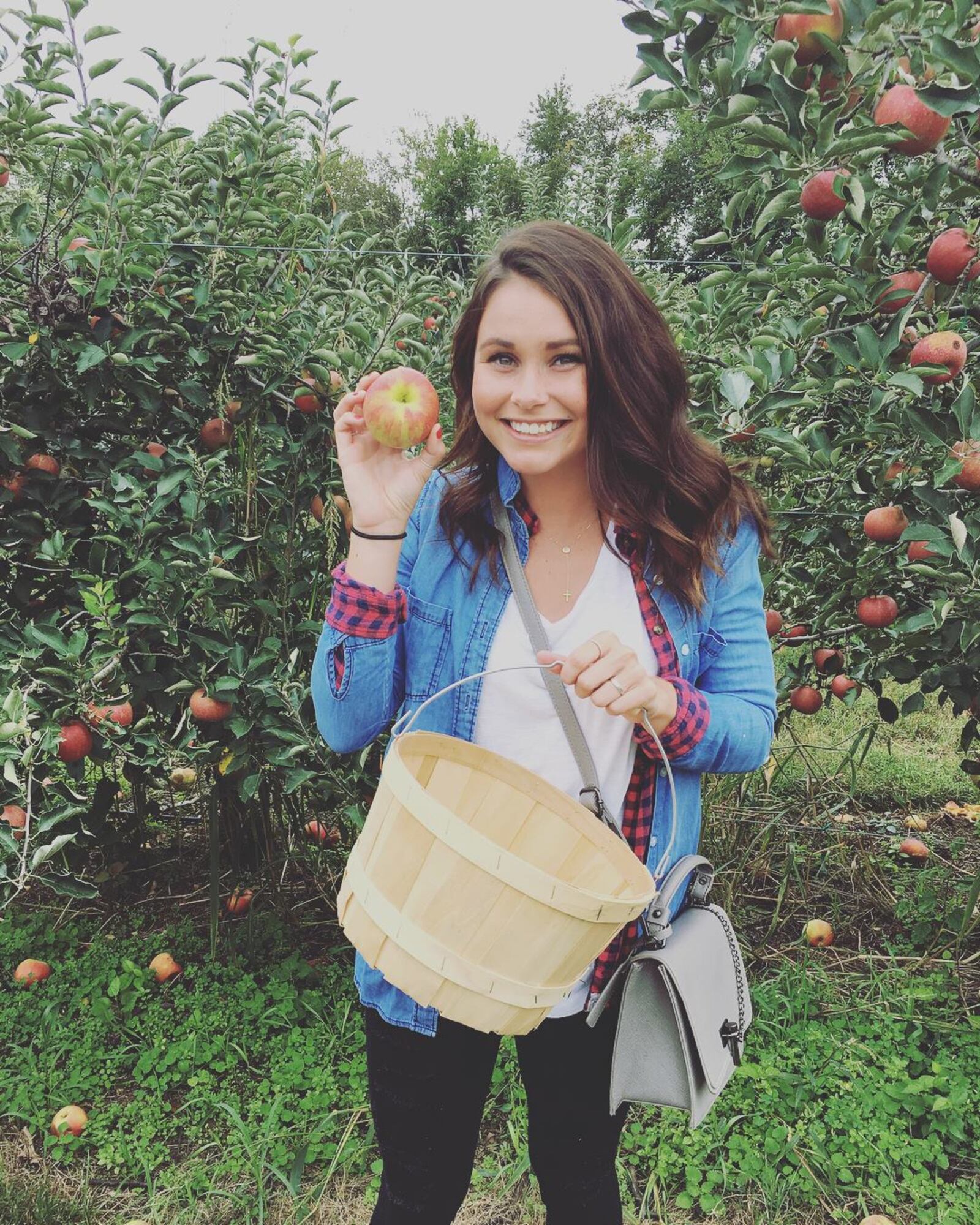 Peifer Orchards in Yellow Springs is offering u-pick opportunities for several varieties of apples this season.