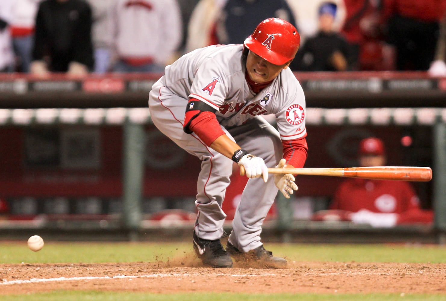 Reds Opening Day