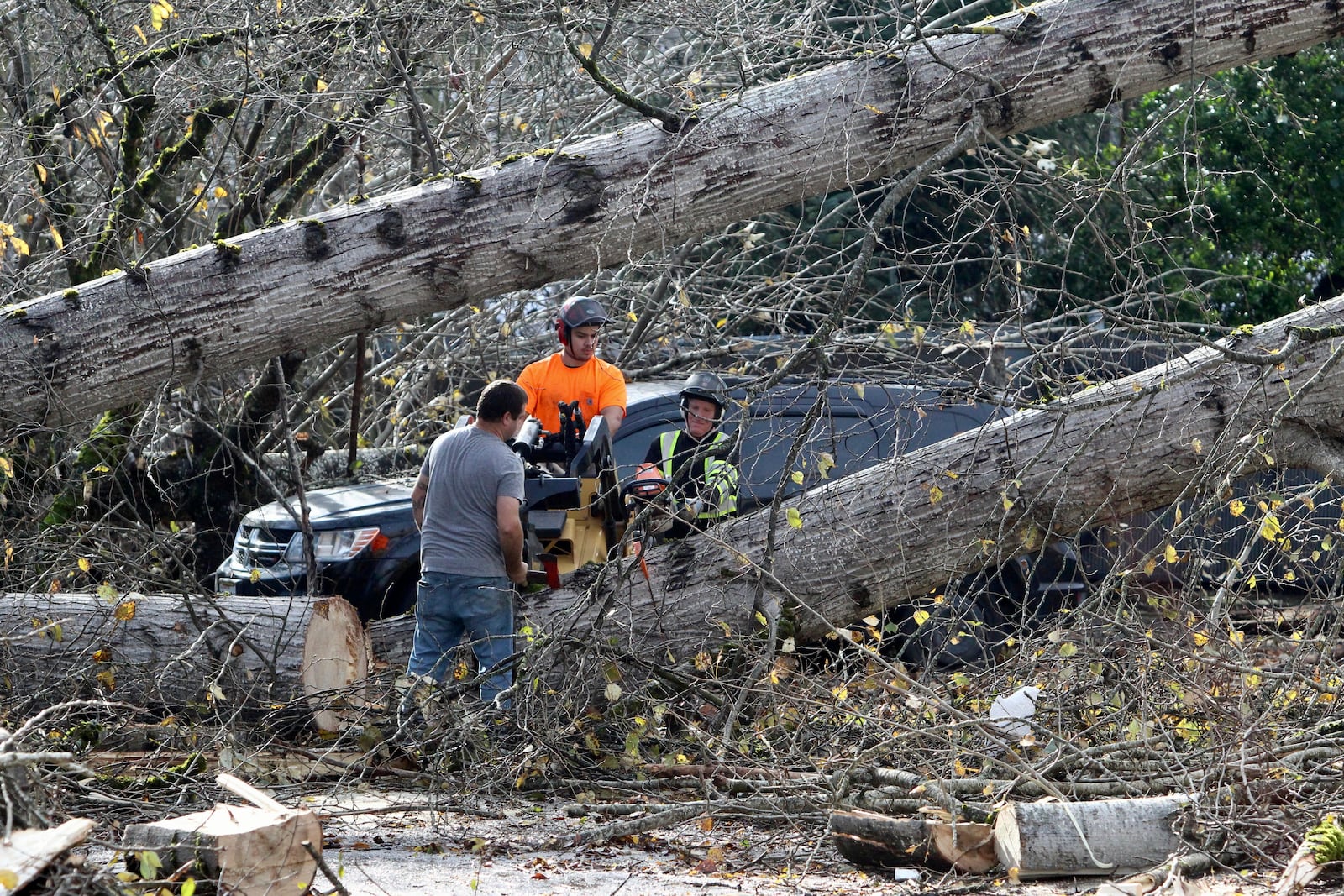 A crew cuts a tree that fell on a Taco Bell restaurant Wednesday, Nov. 20, 2024, in Issaquah, Wash., after a "bomb cyclone" storm brought high winds to the area. (AP Photo/Manuel Valdes)