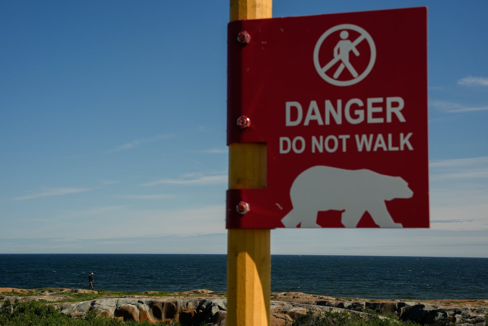 A person walks along the rocks near Hudson Bay while watching for polar bears, Saturday, Aug. 3, 2024, in Churchill, Manitoba. (AP Photo/Joshua A. Bickel)