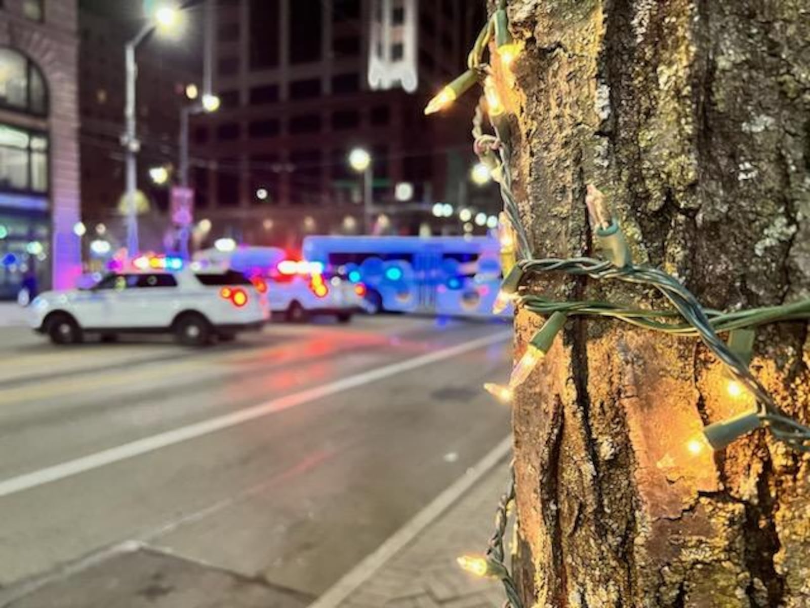 The parade at the Dayton Holiday Festival was stopped Friday night after reports of shots fired. Tom Gilliam/Contributed.