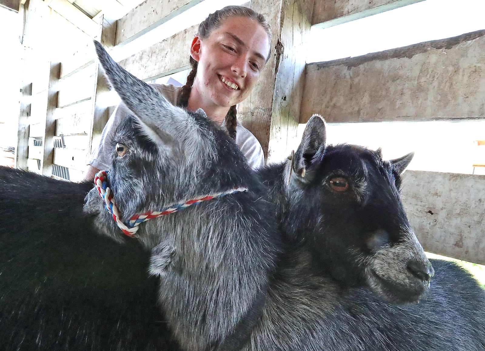 Darcie Brown, 16, relaxes with her pigmy goat as they wait to show Monday at the Clark County Fair. BILL LACKEY/STAFF