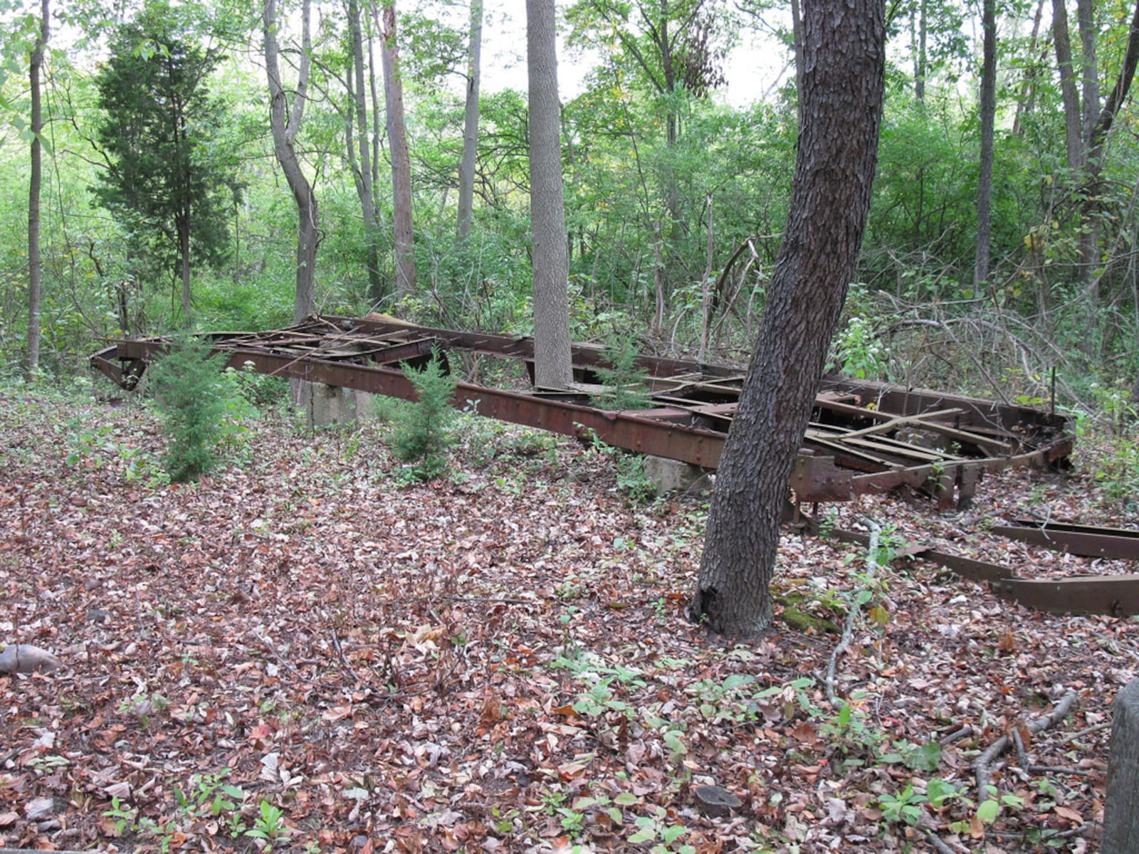 The remains of a train car that likely served as a concession stand at the once lively Argonne Forest Park can be spotted at Possum Creek MetroPark. CONTRIBUTED