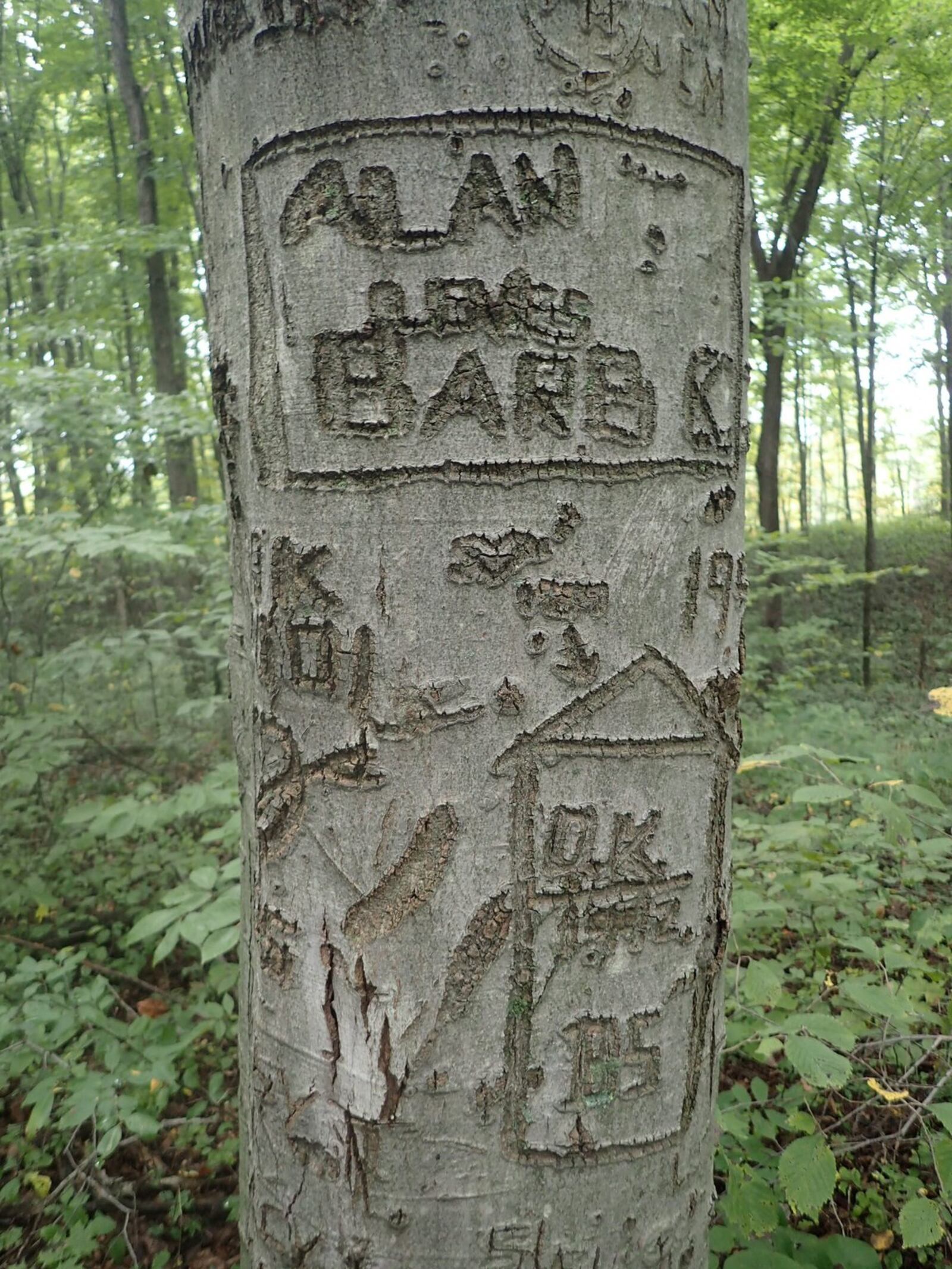 Leaving your mark is overrated. Don’t carve on trees or other objects. CONTRIBUTED/ANDY NIEKAMP