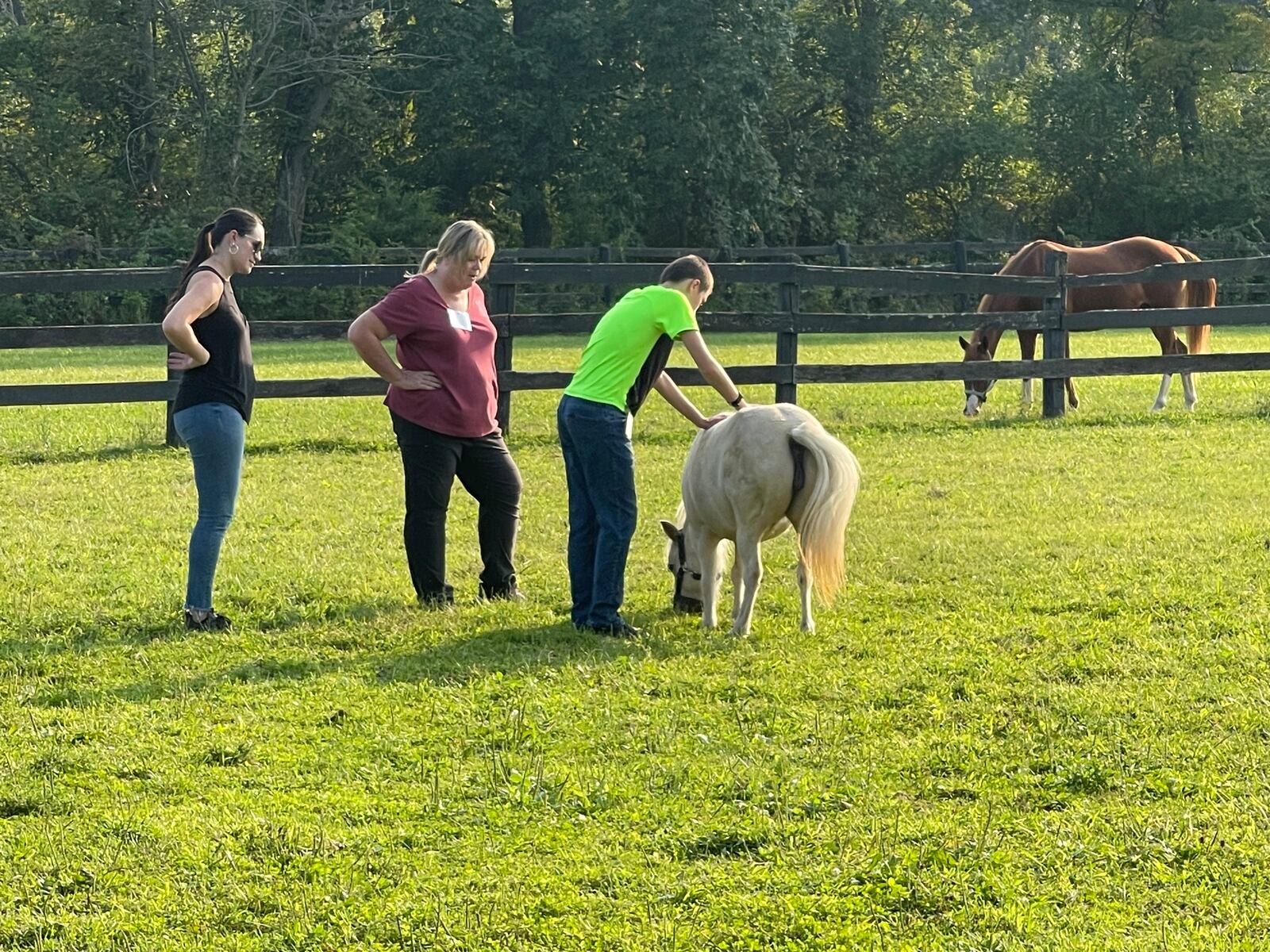 The mission of HoofPrints is to transform lives through the unique relationship between horses and humans.