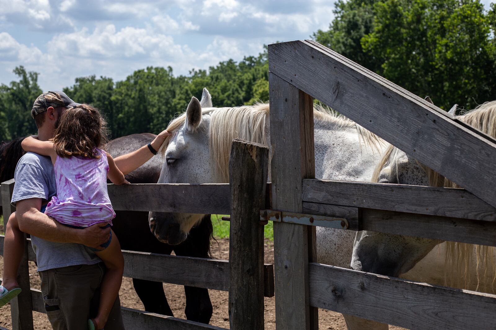 Visitors enjoy the live animals at Small Farm and Food Fest.