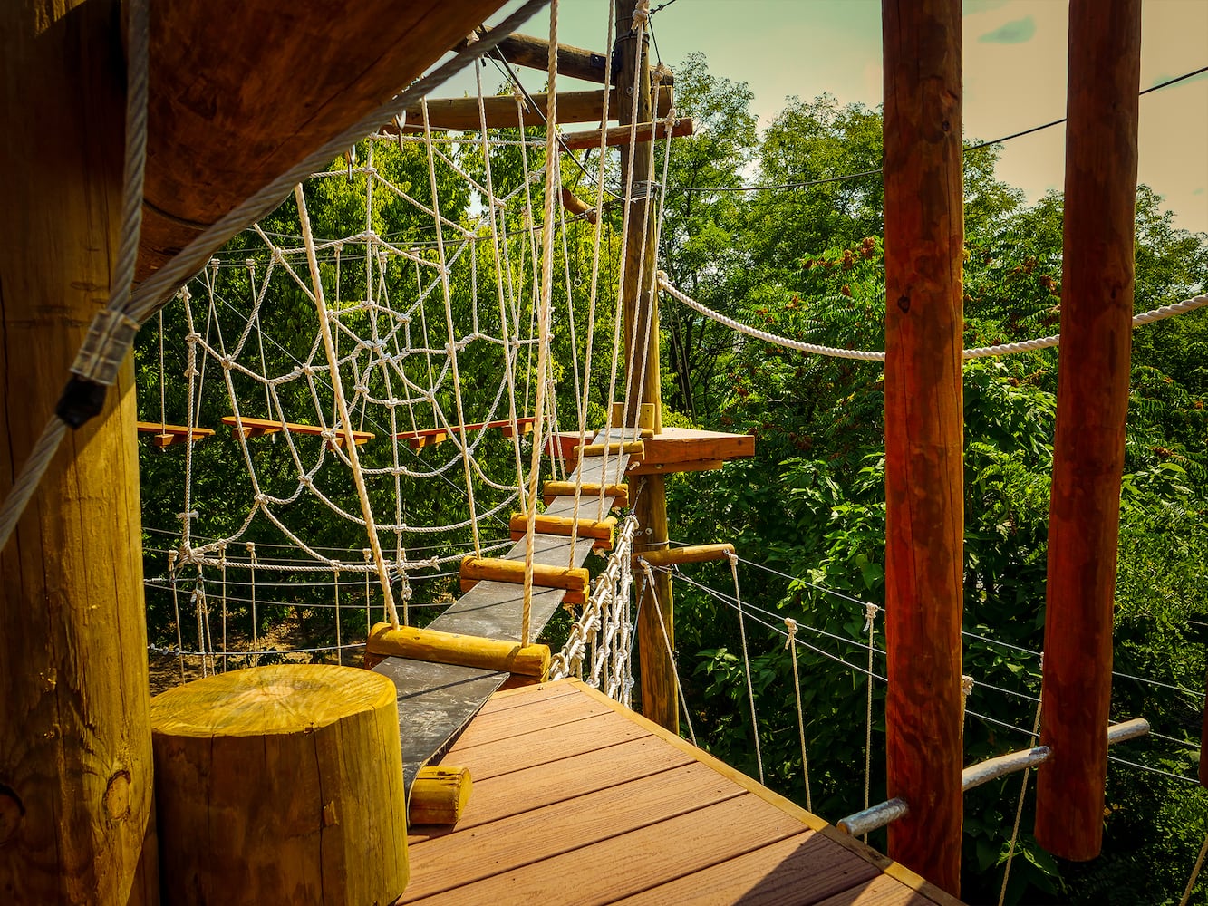 PHOTOS: Cincinnati Zoo’s new aerial adventure course will test your climbing skills