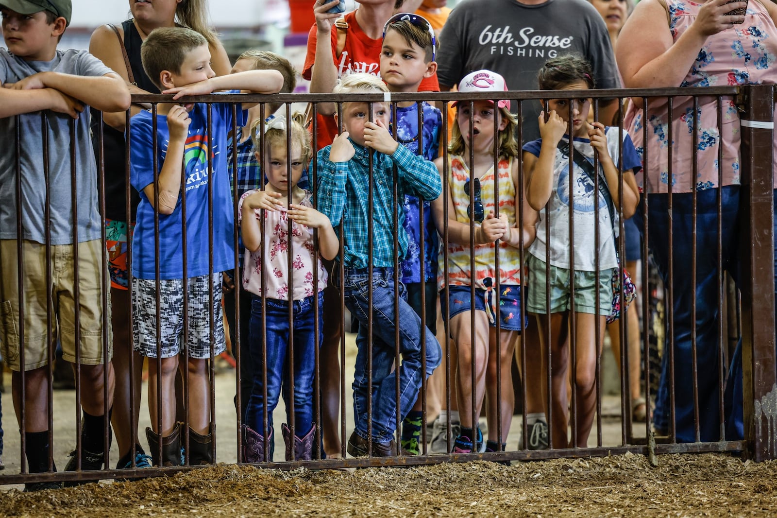 A group of children watch their family and friends compete in the Pee Wee Hog Showmanship competition at the Greene County Fair Wednesday August 3, 2022. JIM NOELKER/STAFF