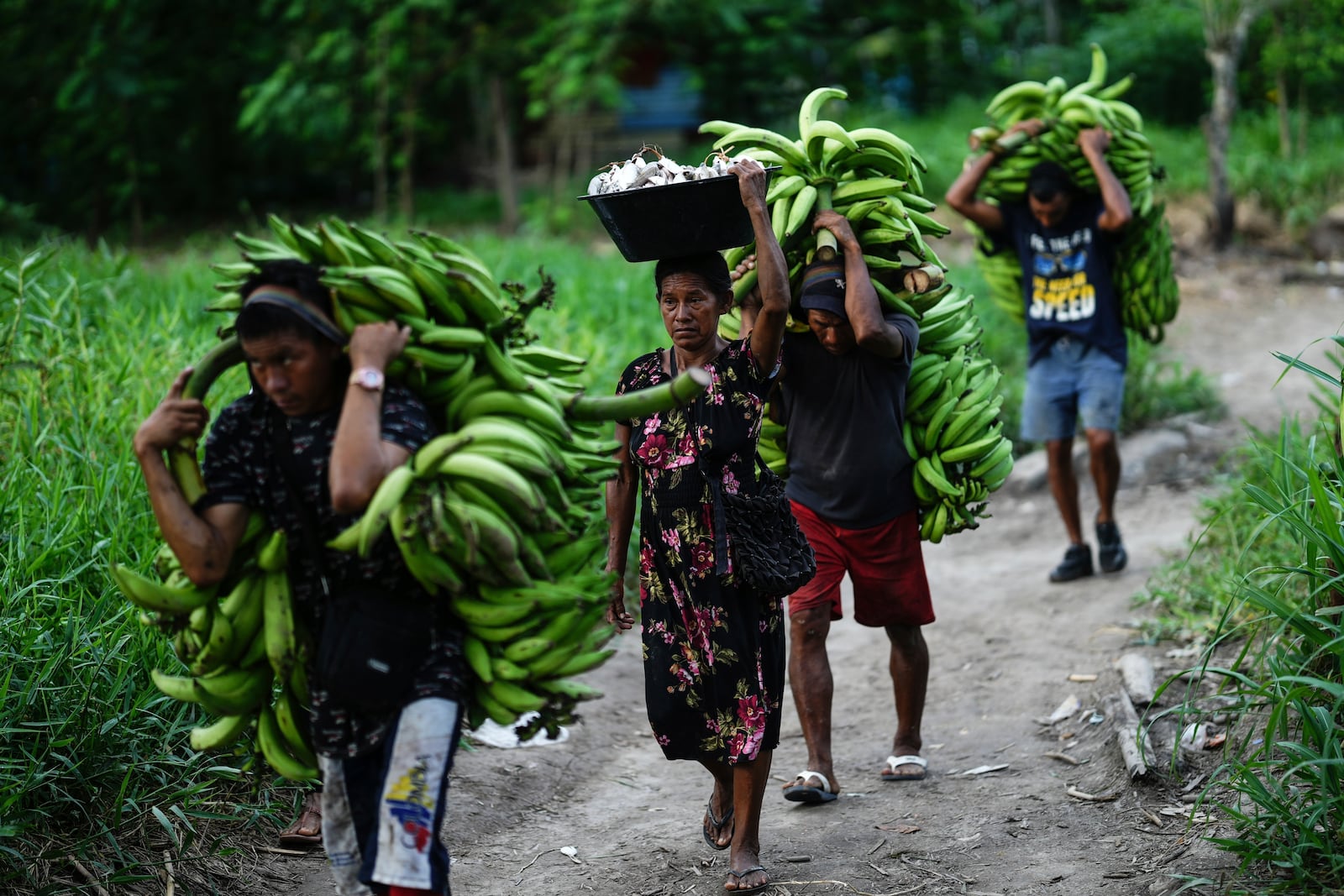 A group of men and a woman carry bananas and fish from the port, in Leticia, Colombia, Monday, Oct. 21, 2024. (AP Photo/Ivan Valencia)