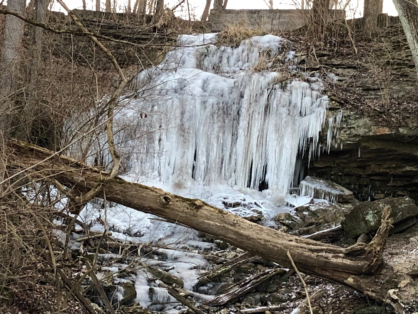 Englewood MetroPark is a worthwhile winter hiking option. PHOTO BY BETH ADELMAN