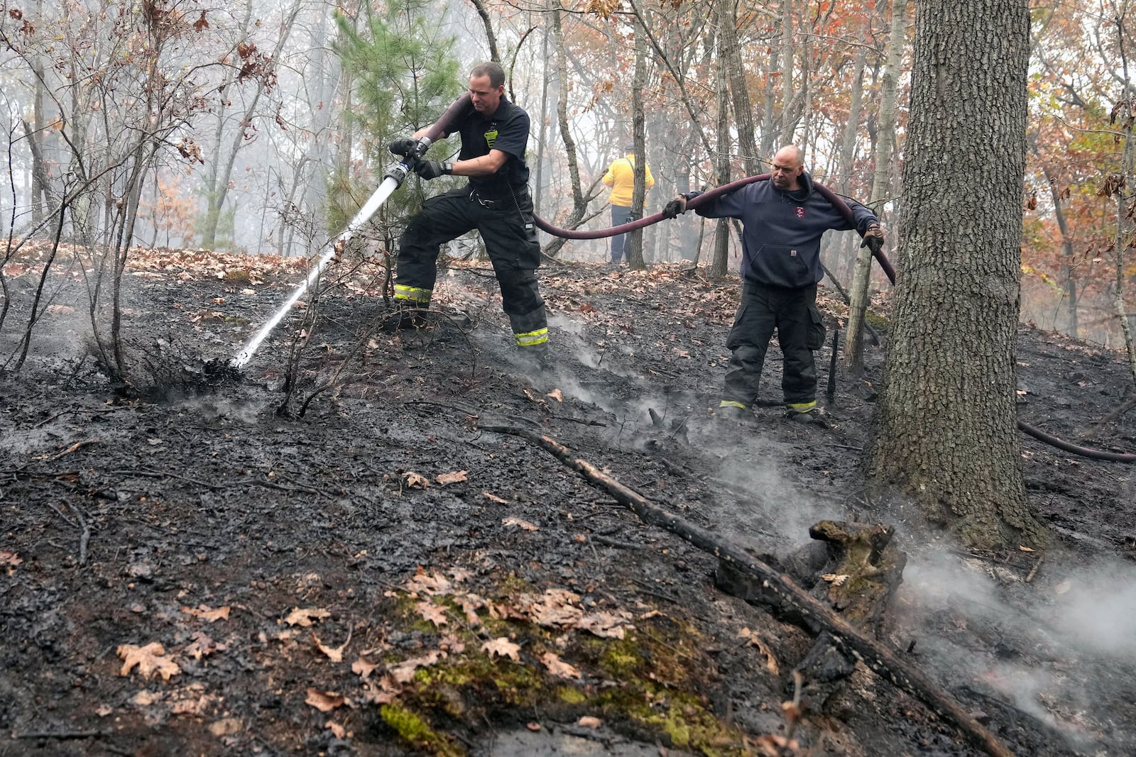 FILE - Firefighters work to put out a brush fire, Tuesday, Oct. 29, 2024, in Salem, Mass. (AP Photo/Steven Senne, File)