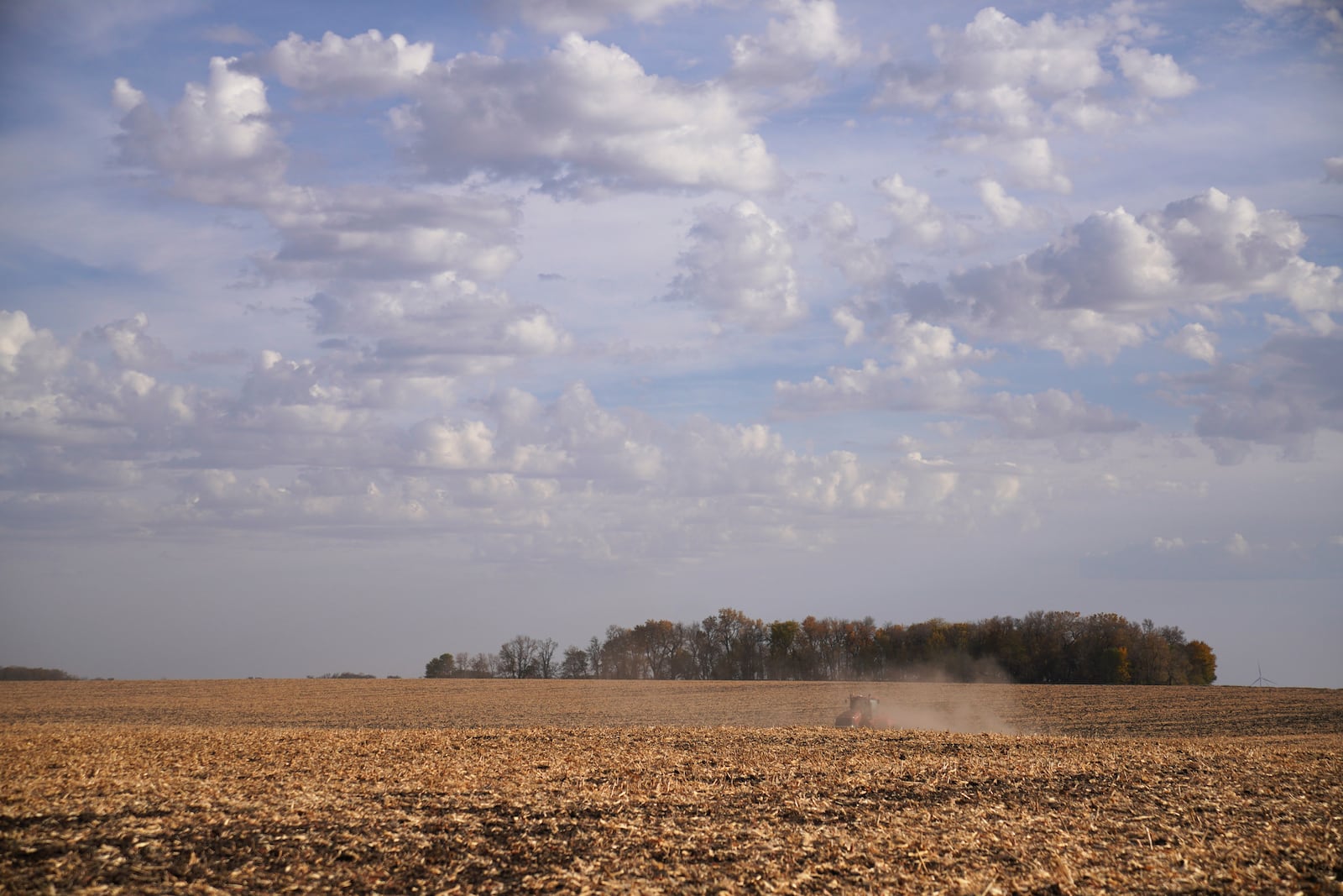 Randy Robinson tills a corn field in preparation for the winter, in Worthington, Minn., on Monday, Oct. 21, 2024. (AP Photo/Jessie Wardarski)