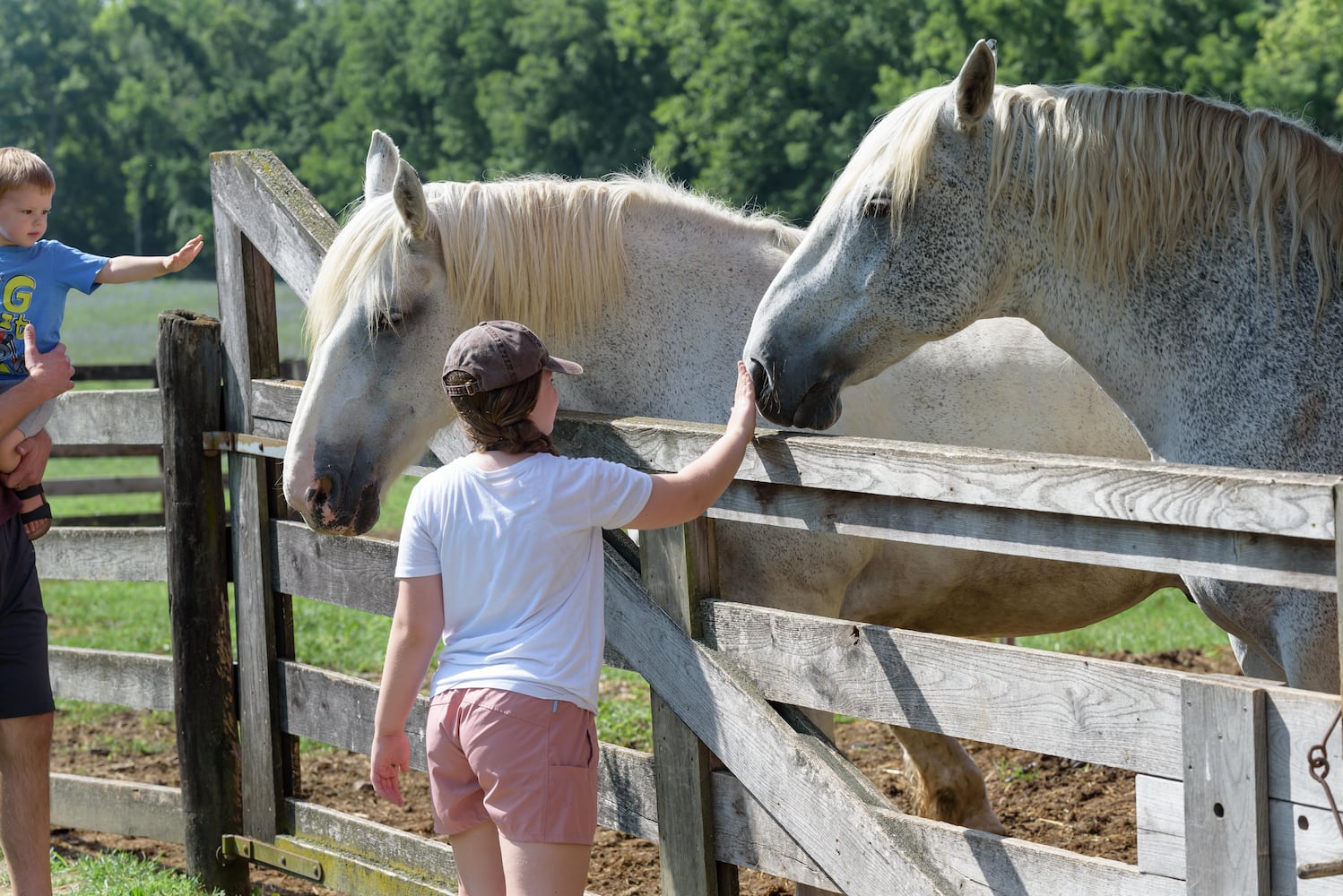 PHOTOS: 2024 Small Farm & Food Fest at Carriage Hill MetroPark