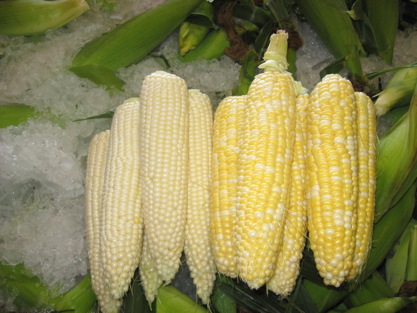 Sweet corn from Fulton Farms in Troy. (Source: Fulton Farms Facebook)