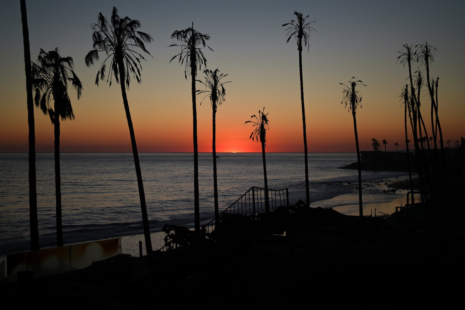 The sun sets behind palm trees burnt by the Palisades Fire on Friday, Jan. 10, 2025, in Malibu, Calif. (AP Photo/Eric Thayer)