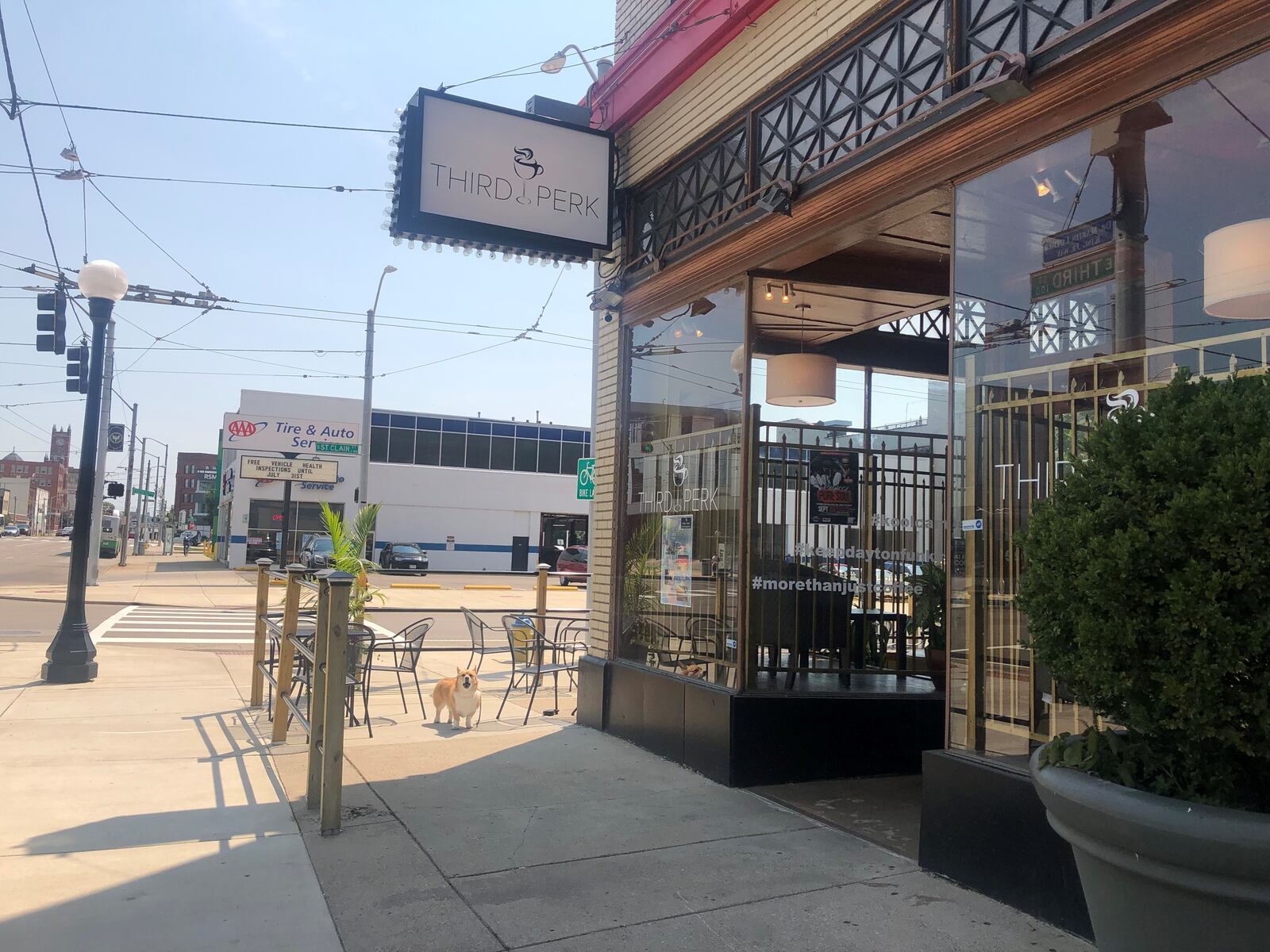 A corgi barks outside on the patio of Third Perk Coffeehouse & Wine Bar at 146 E. Third St. CORNELIUS FROLIK / STAFF