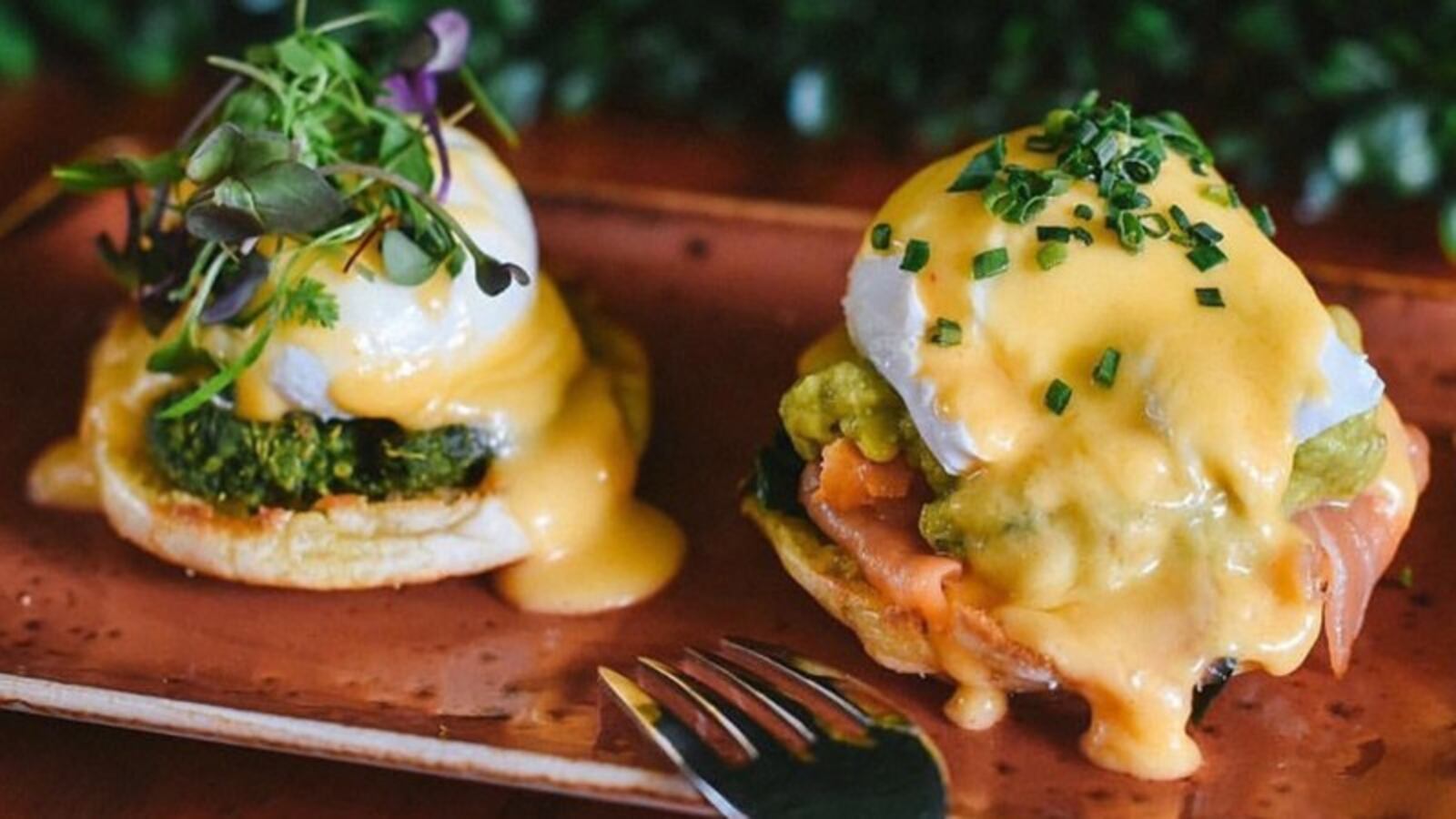 Avocado Grill's egg Benedict. (Photo contributed by Avocado Grill)