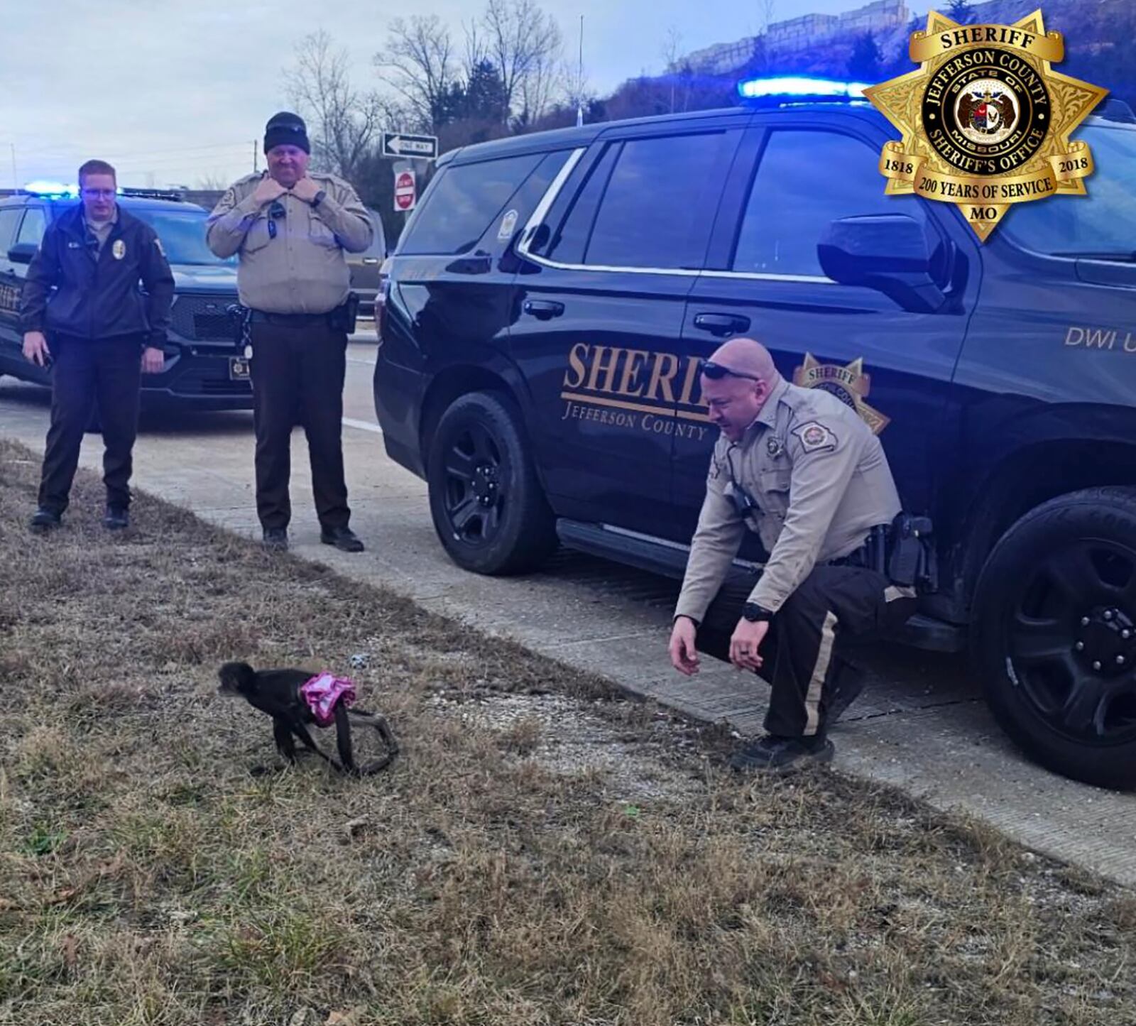 This Jan. 3, 2025 image provided by the Jefferson County Sheriff's Office shows officers and an escaped spider monkey near Caledonia, Mo. (Jefferson County Sheriff's Office via AP)