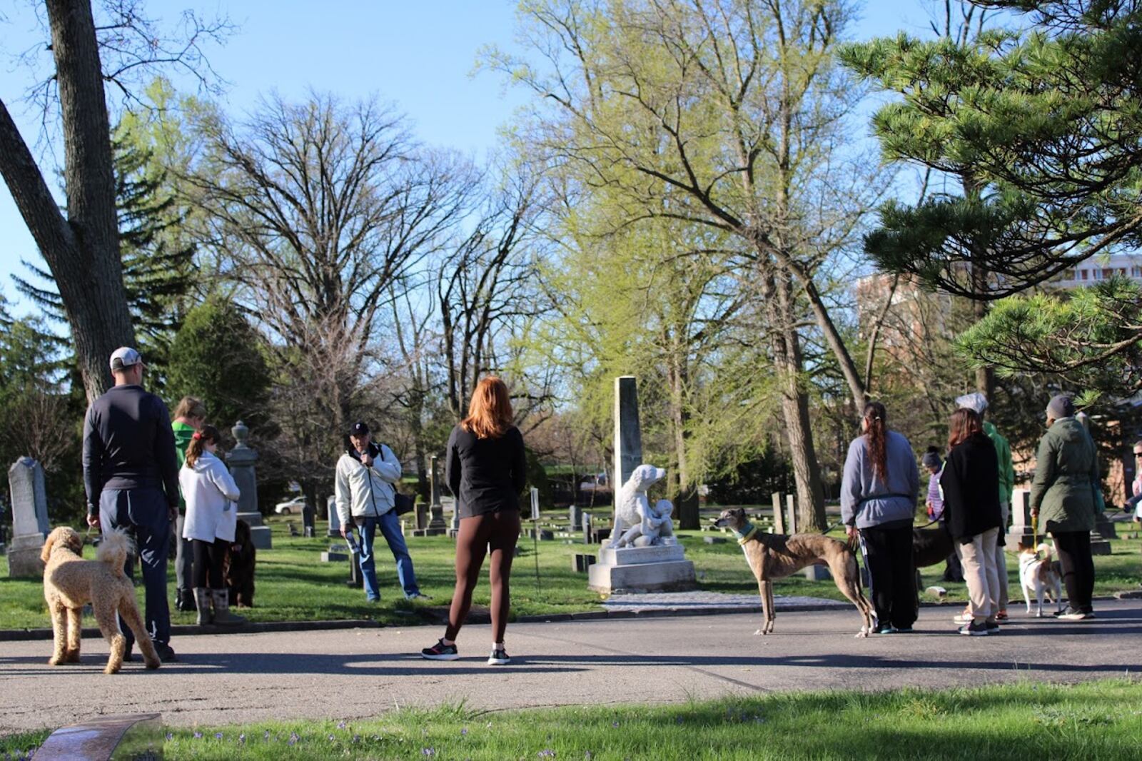 Woodland Cemetery & Arboretum hosts a variety of historical and nature walks - CONTRIBUTED