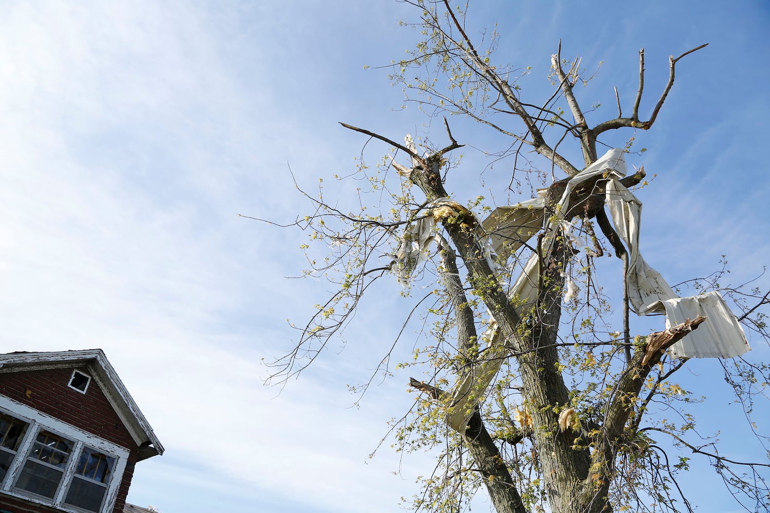 PHOTOS: Clean up of tornado damage continues in Old North Dayton