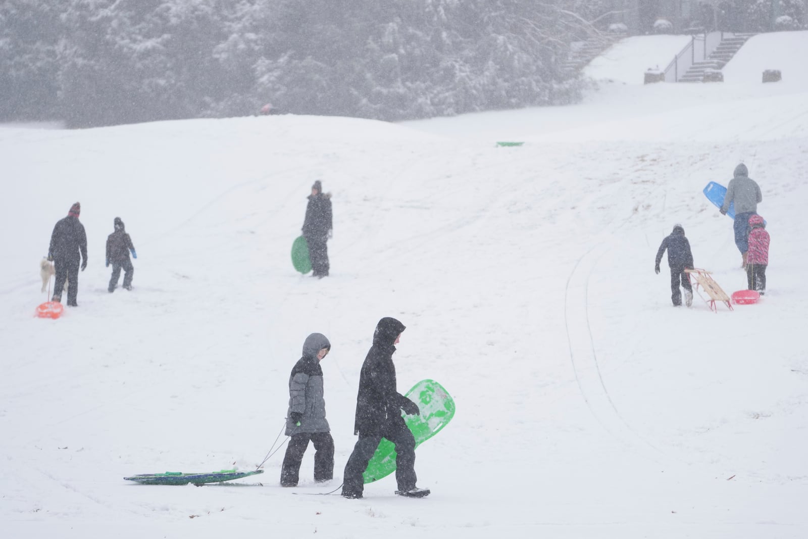 People play in the snow Friday, Jan 10, 2025, in Nashville, Tenn. (AP Photo/George Walker IV)