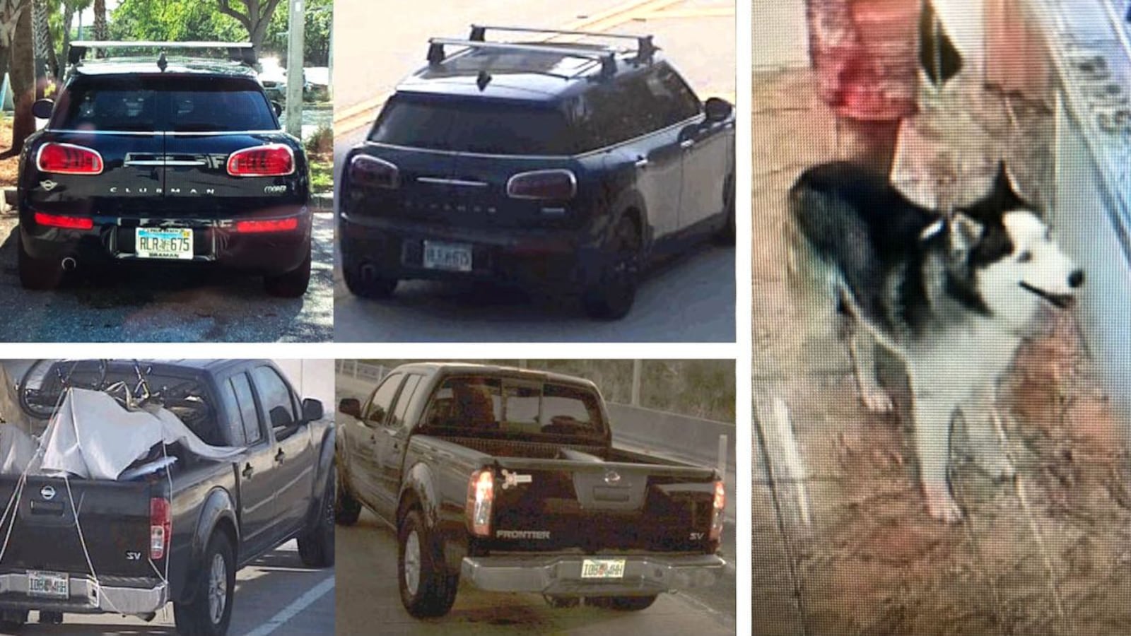 Pictured are images of Gretchen Stoughton Anthony's car, top left, her estranged husband David Anthony's truck, bottom left, and David Anthony's dog, all of which have been released by Jupiter, Fla., police officials seeking help from the public. David Anthony is charged with murder and kidnapping in Gretchen Anthony's March 21, 2020, disappearance and suspected death.