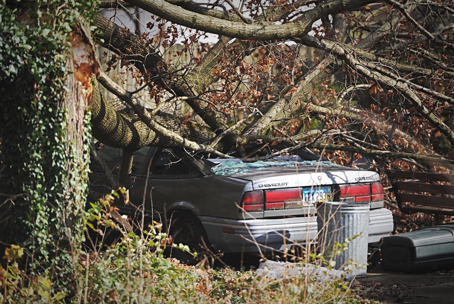 PHOTOS: High winds tear through Miami Valley Sunday