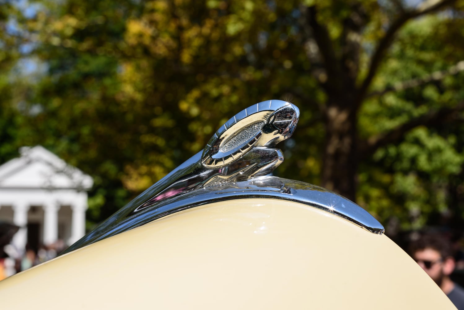 PHOTOS: 2024 Dayton Concours d’Elegance at Carillon Historical Park