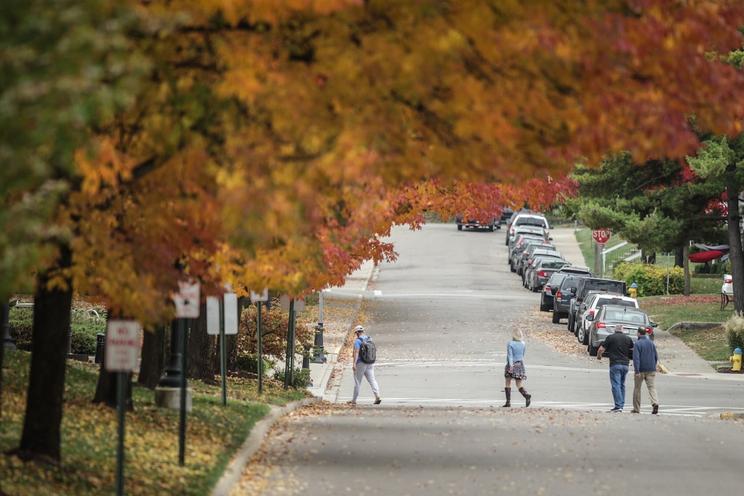 Fall colors paint the Dayton area