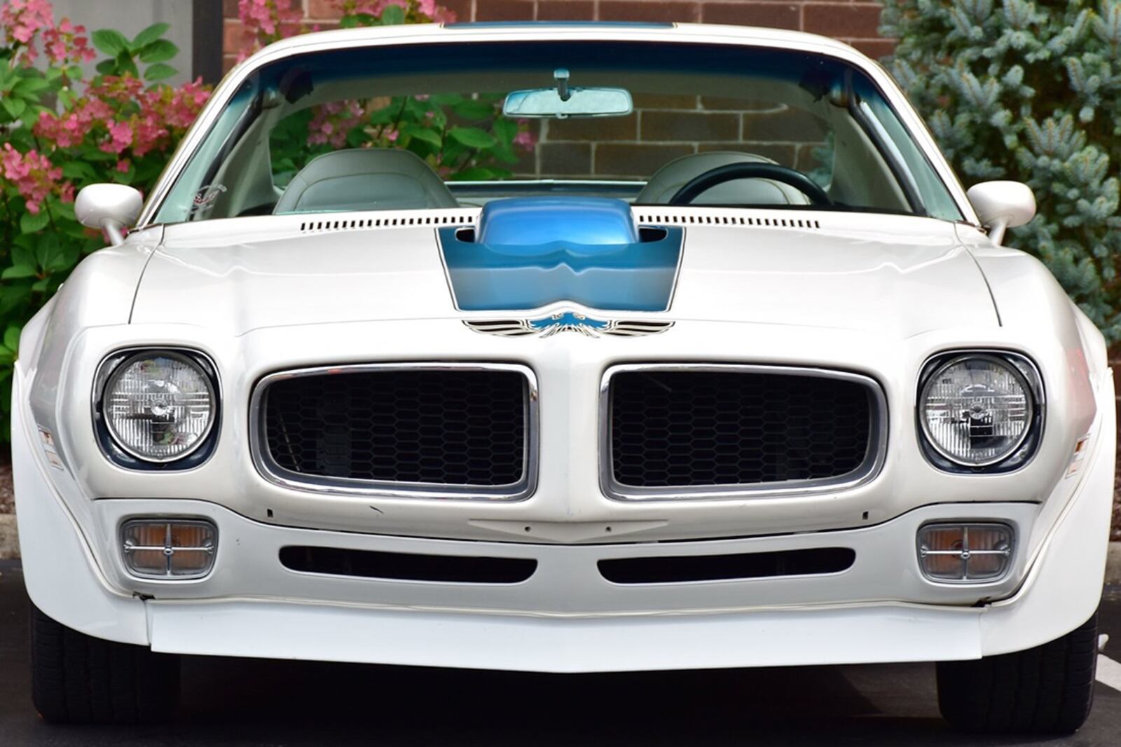 This 1972 Pontiac Firebird Trans Am, owned by Doug Trotter of Columbus, will be one of many Trans Ams celebrated during the 2019 Concours' d'Elegance. This is Trans Am's 50th year since being introduced in 1969. Contributed photo