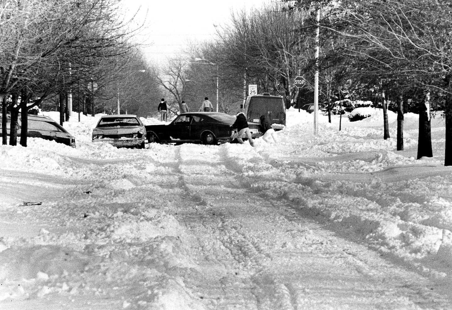 1978 blizzard