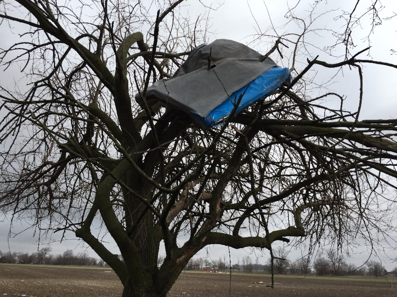 Arcanum Tornado Damage - Trees