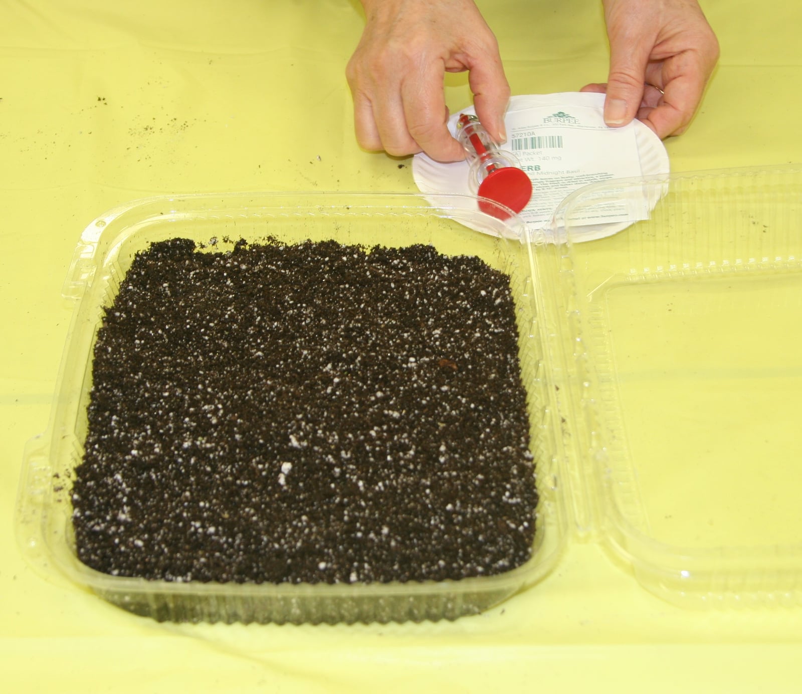 A well-drained, lightweight soilless mix is essential for starting seeds of any kind indoors. Any container works as long as it has drainage in the bottom.